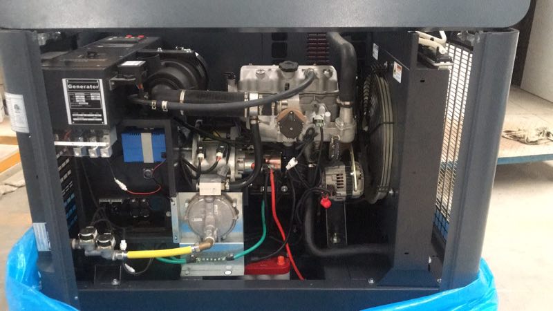 10 kW Natural Gas/Propane Generator
