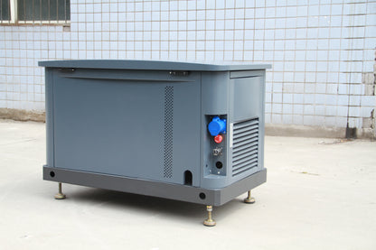 10 kW Natural Gas/Propane Generator (120/208V Three Phase 60Hz)